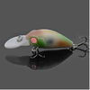 Rock Fishing Hard Bait Lures